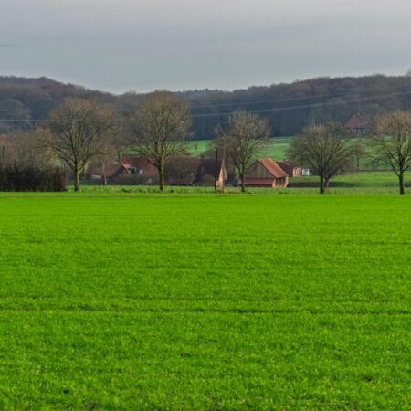 Kenttien ja pelialueiden merkitys